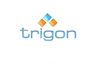 TRİGON TEKSTİL SAN. VE DIŞ TİC. LTD. ŞTİ.